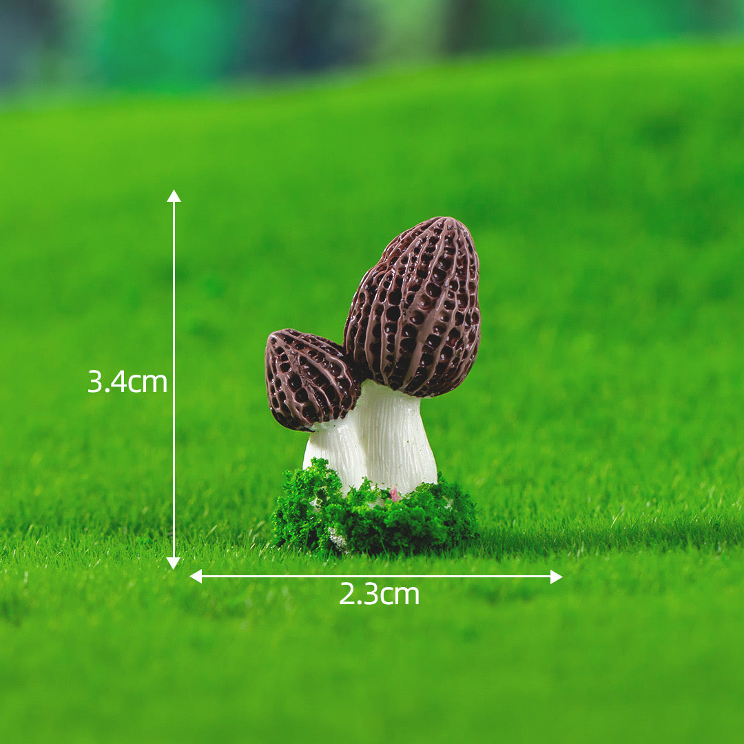 Jungle Mushroom