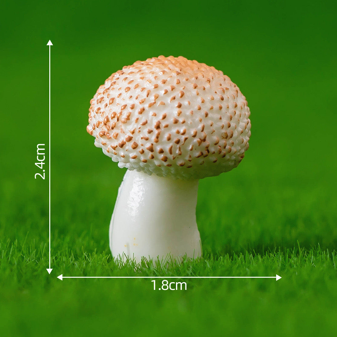 Jungle Mushroom