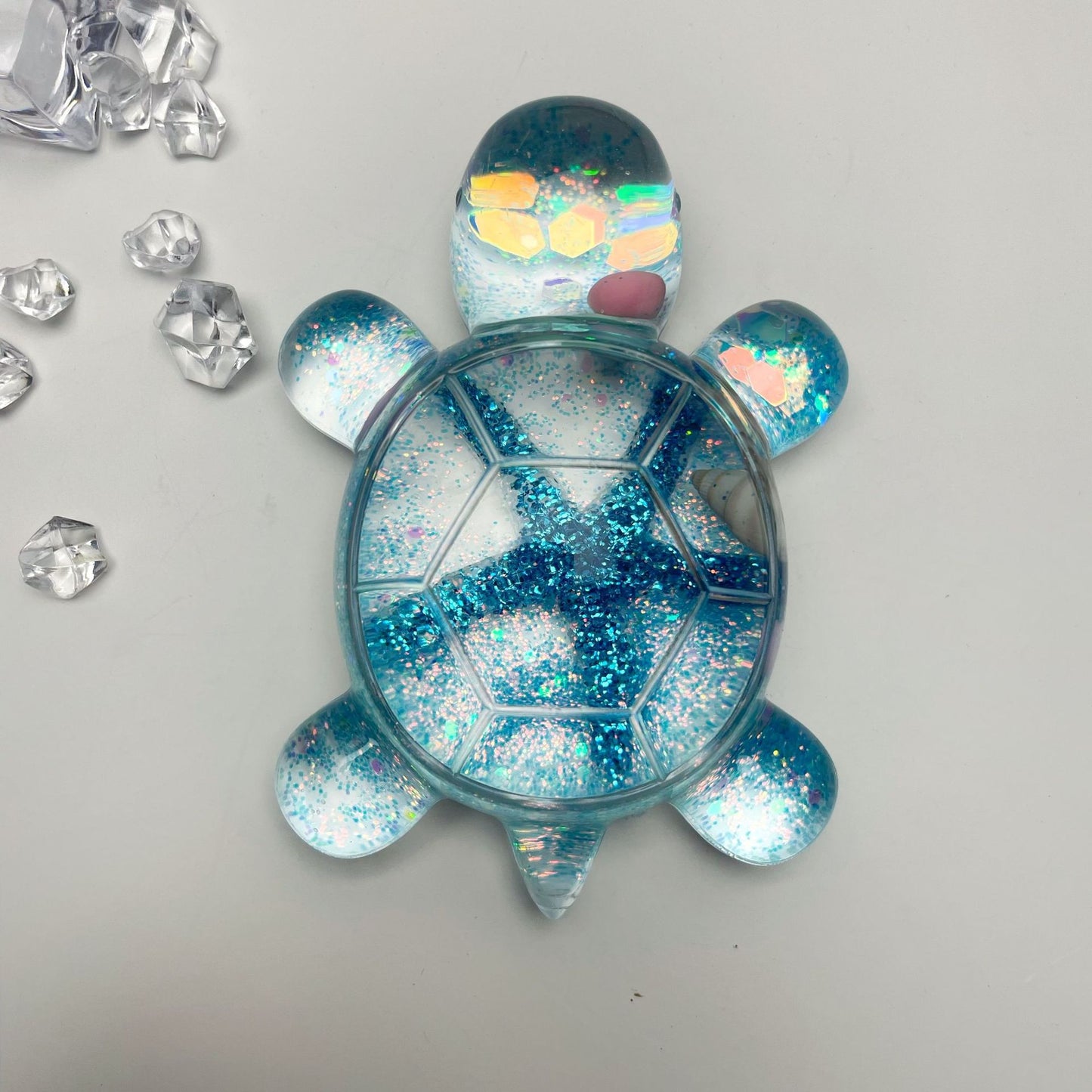 Starfish River Sand Turtle（Direct Buy)