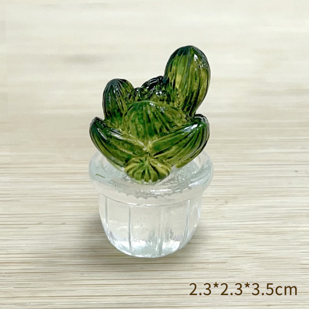 Cute Succulent Ⅱ