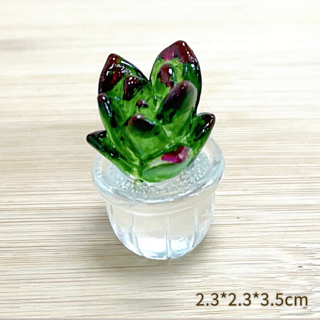 Cute Succulent Ⅱ