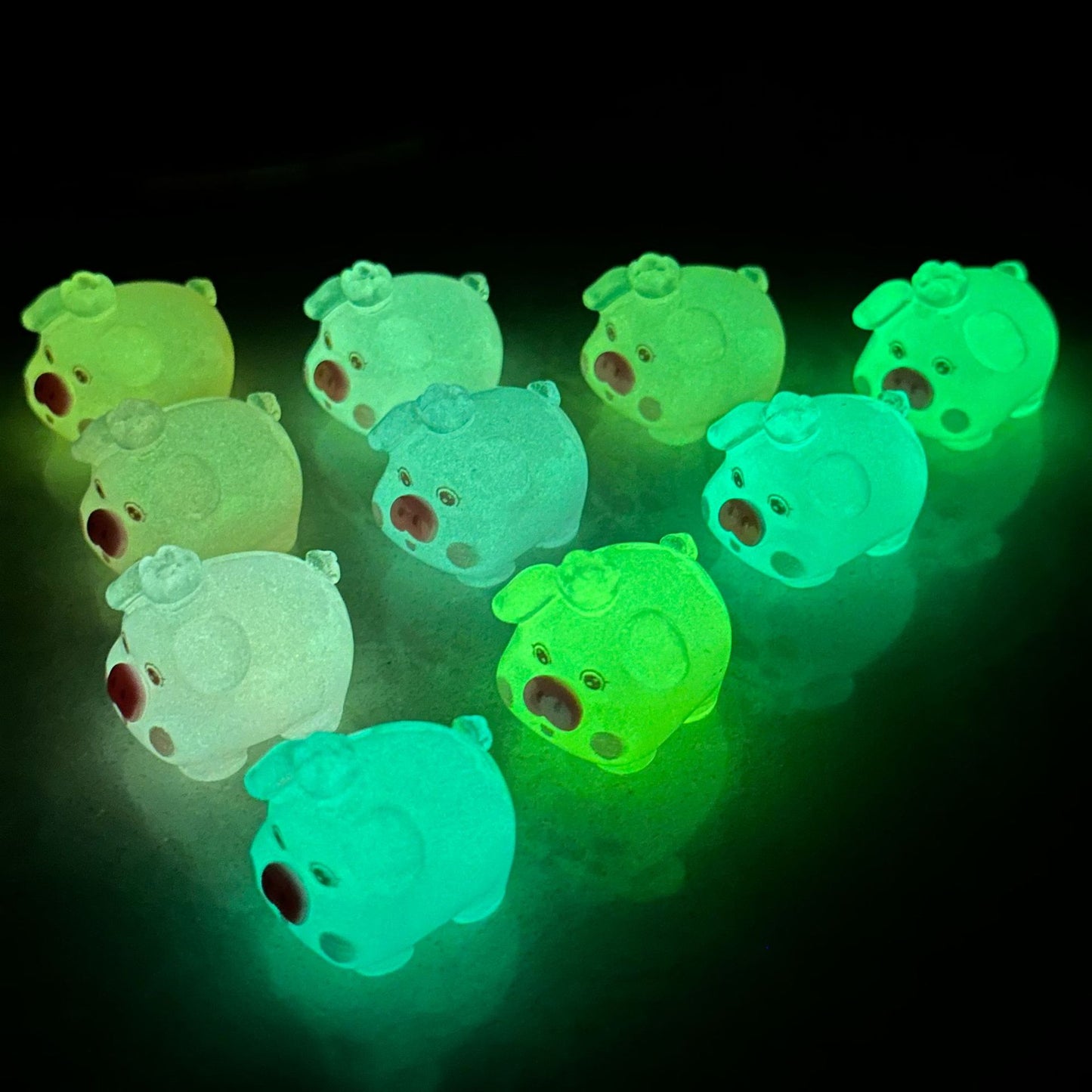 Luminous Crown Pig