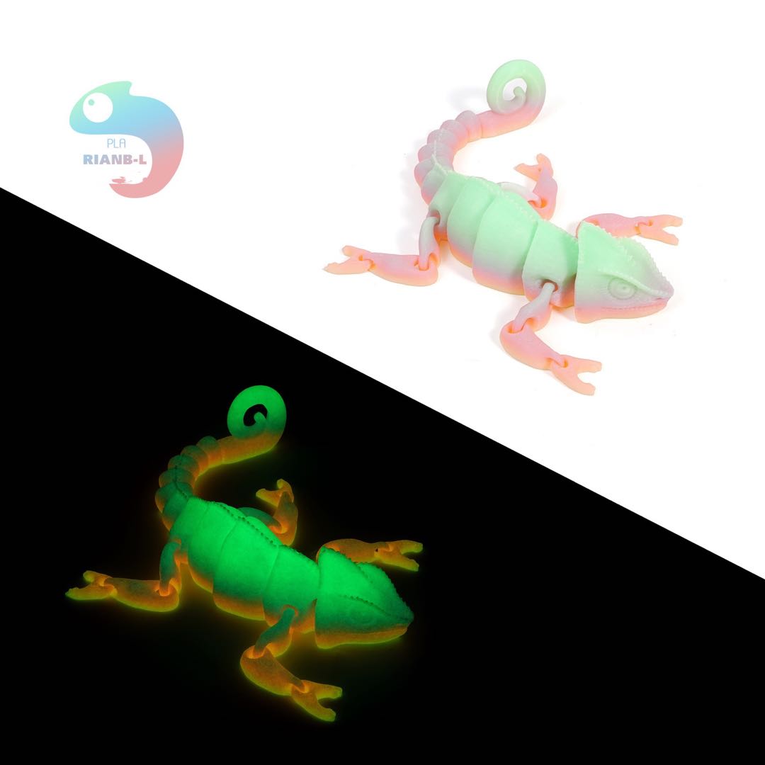 Colorful 3D Lizard（Pre-sale)